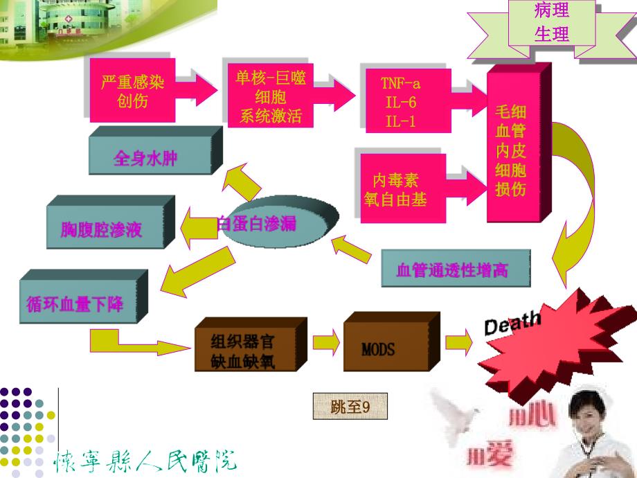 毛细血管渗漏综合征幻灯片_第4页