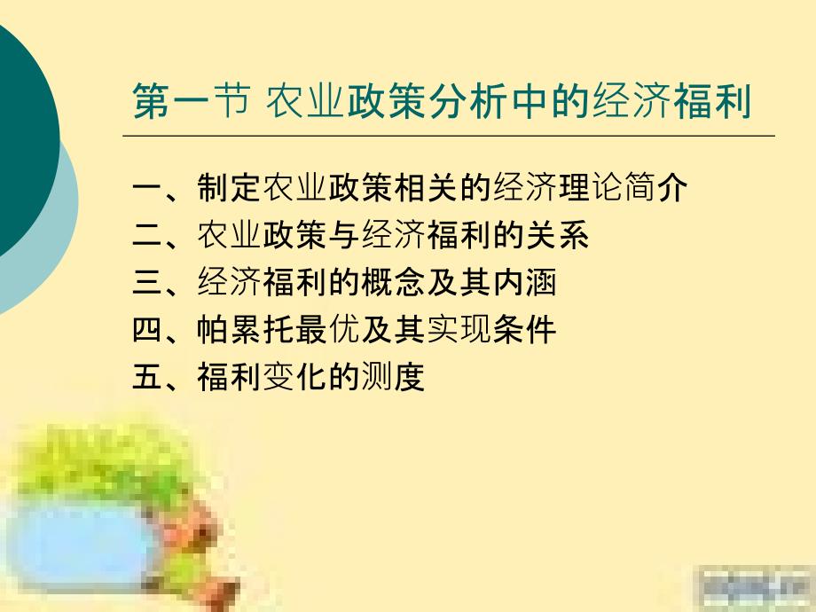 北京林业大学农业政策学农业政策学第二章_第2页