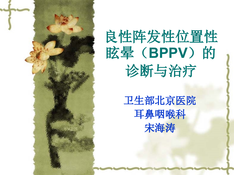 阵发性位置性眩晕(BPPV)诊断和治疗_第1页