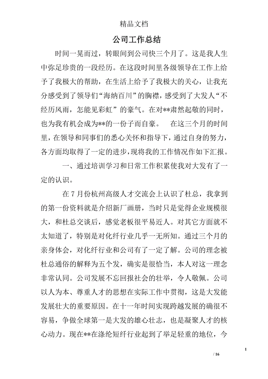 公司工作总结精选_第1页