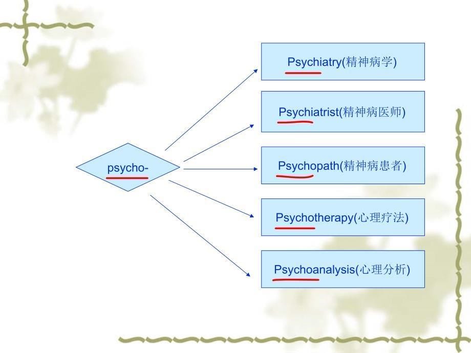 大学英语新编第一册b2_u4_第5页