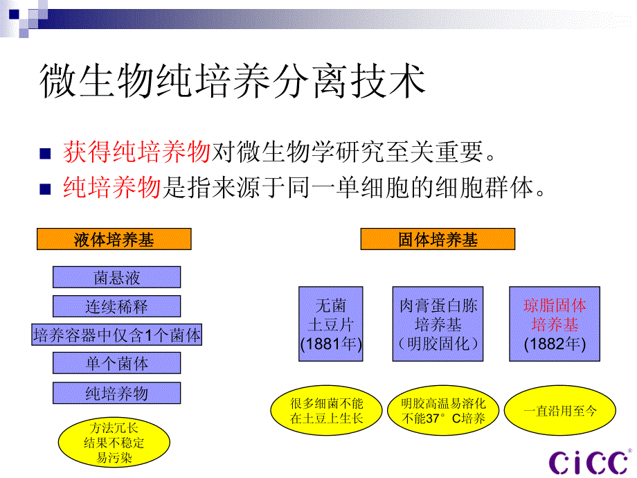 微生物菌种分离和鉴定技术_第2页