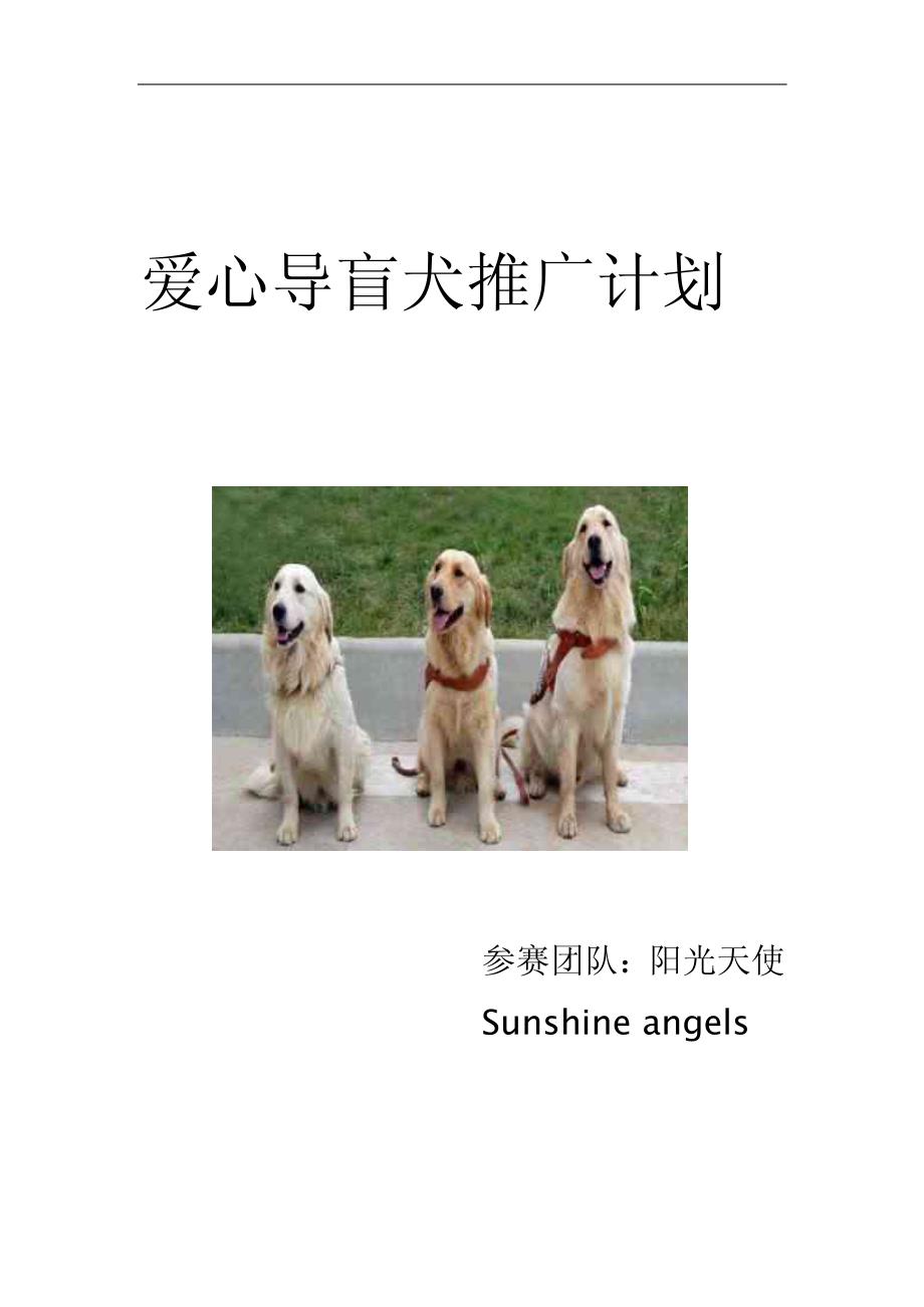 爱心导盲犬推广项目方案_第1页