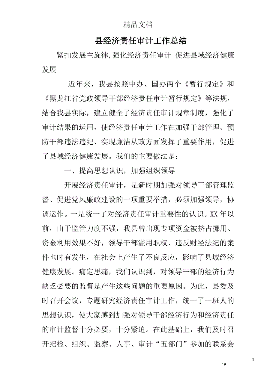 县经济责任审计工作总结精选_第1页