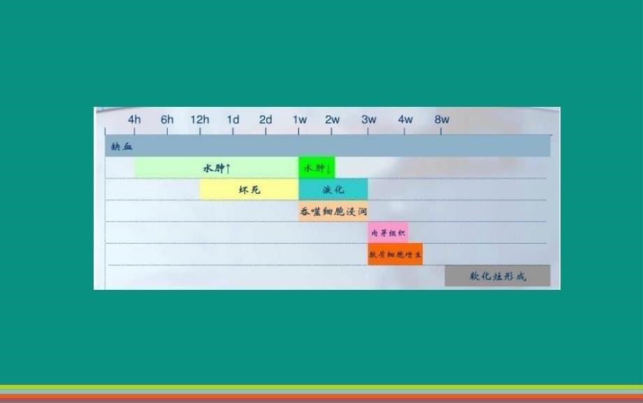 中枢神经系统血管性病变_第5页