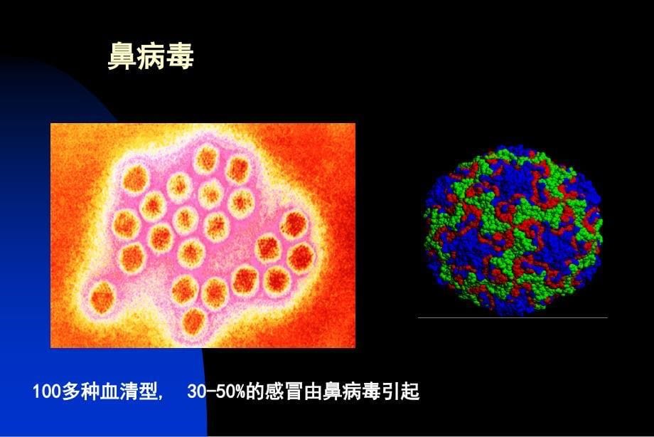 感冒和用药安全_第5页