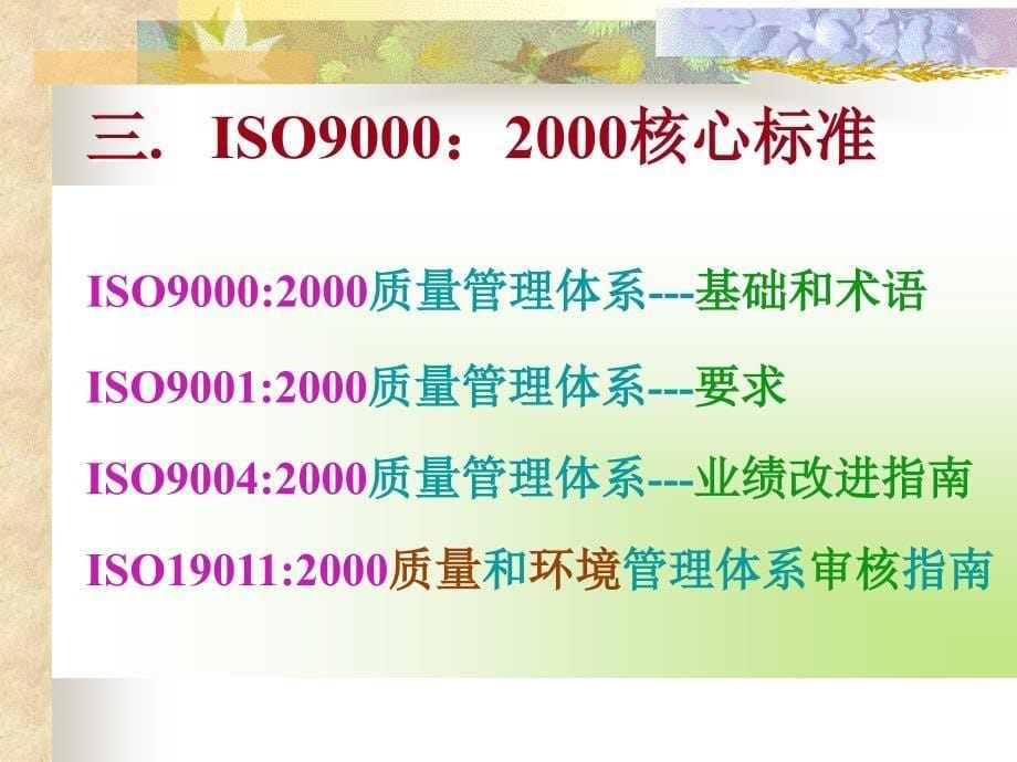 ISO9001标准(标准理解)_第5页