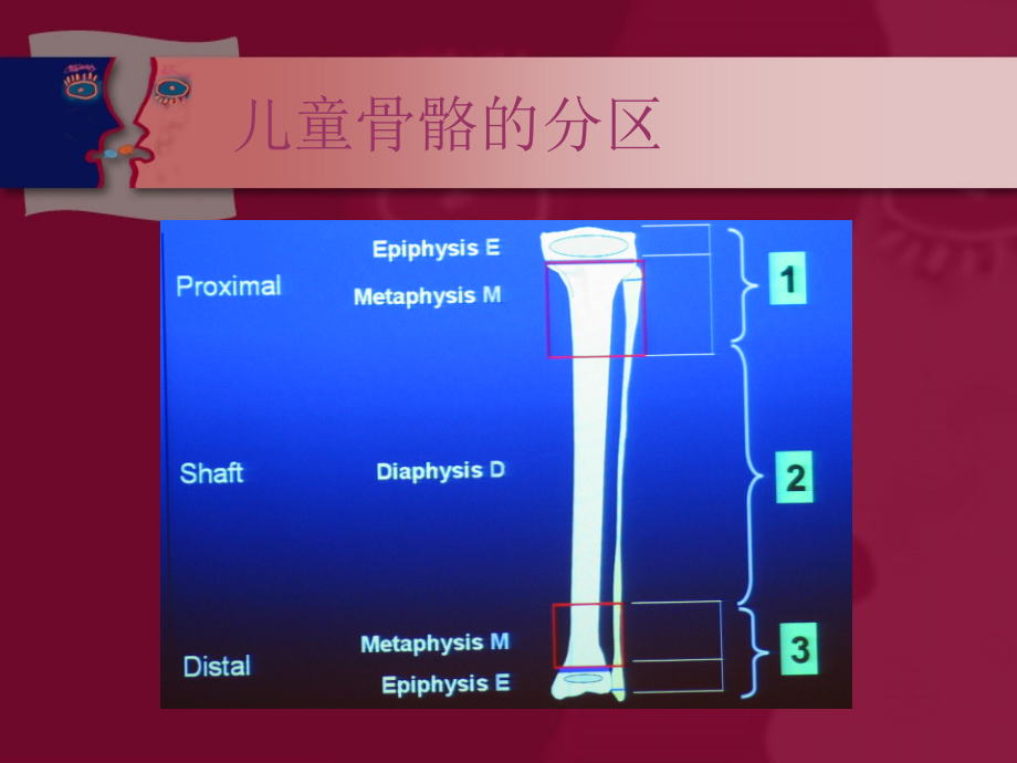 小儿骨科读片_第2页