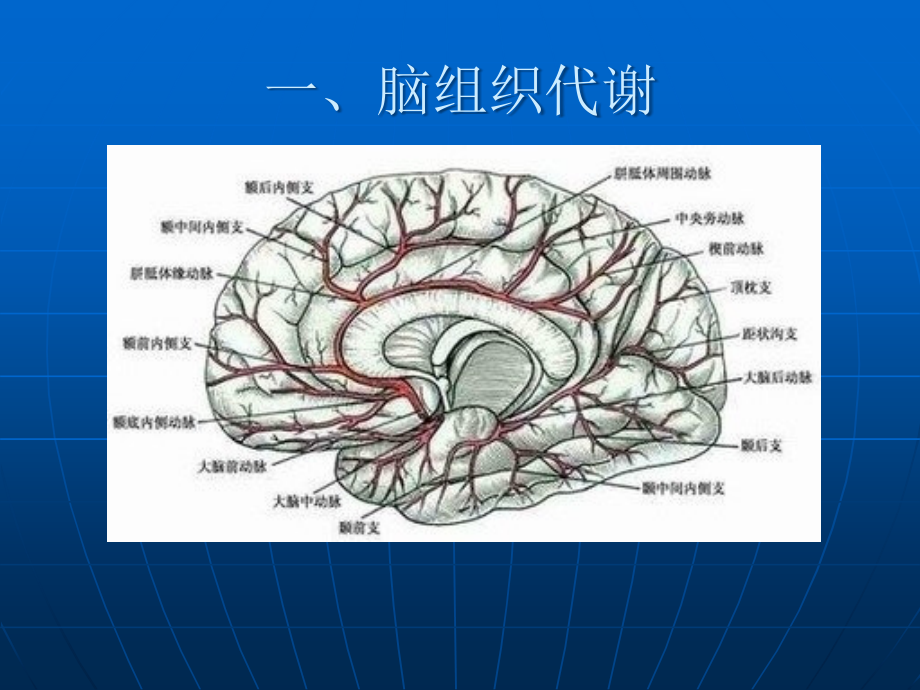 缺血性脑血管病_第3页