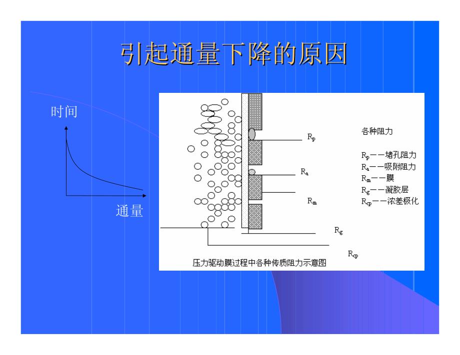 蛋白质的吸附、变性及污染防治_第2页