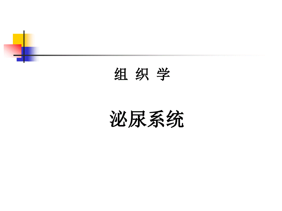 泌尿系统组织学_第1页