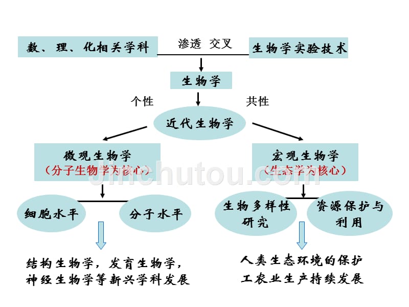 分子生物学_第3页