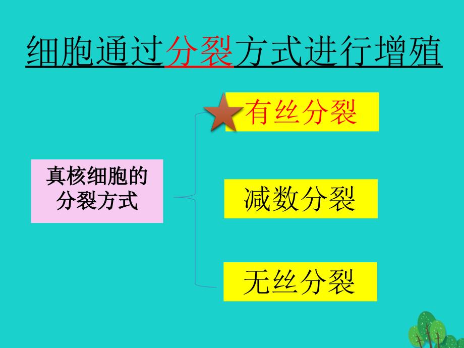 2017高中生物第二册第7章细胞的分裂和分化7.2有丝分裂课件1沪科版20170822219_第4页