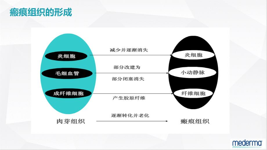 德国美德玛肌肤平滑凝露说明_第4页