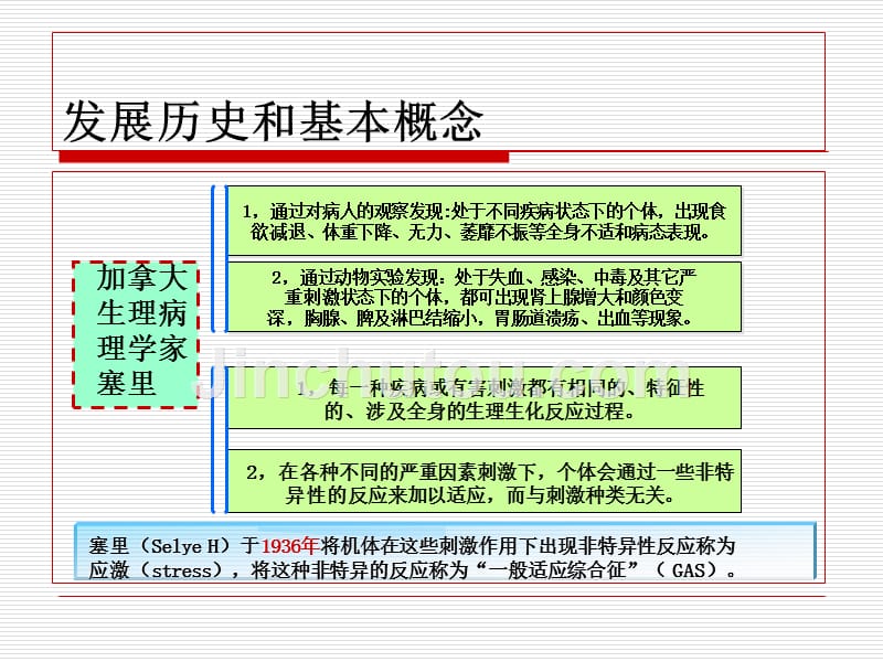 应激相关障碍_第2页