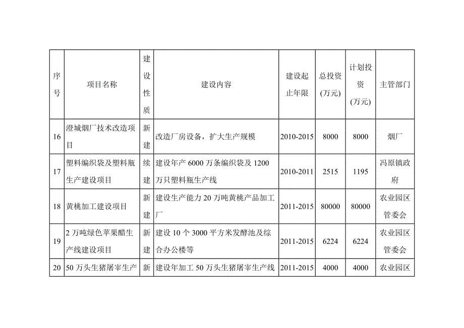 澄城县“十二五”重大建设项目规划表_第5页