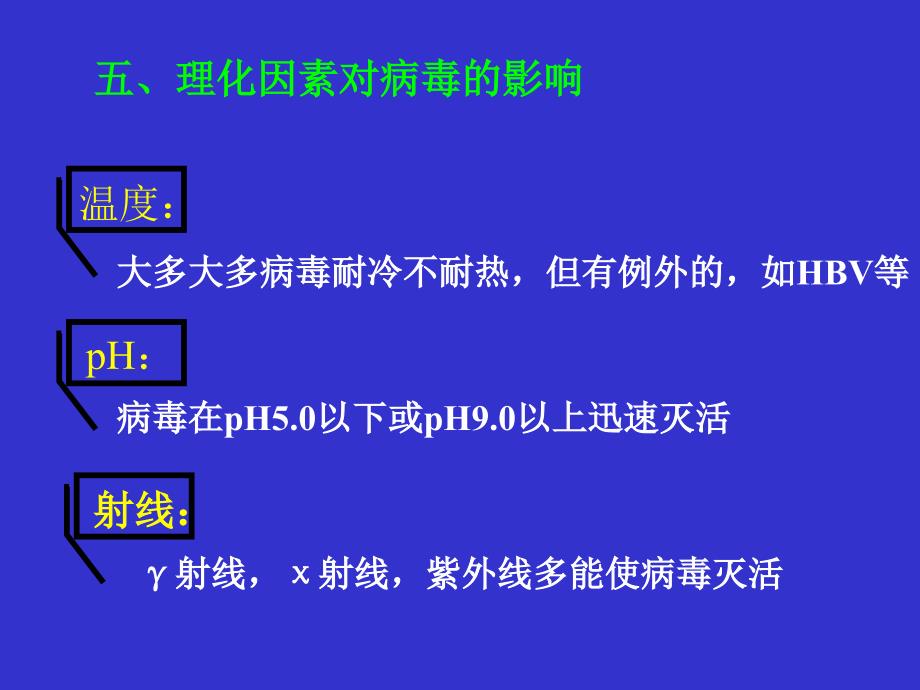 医学微生物课件-----25_第2页