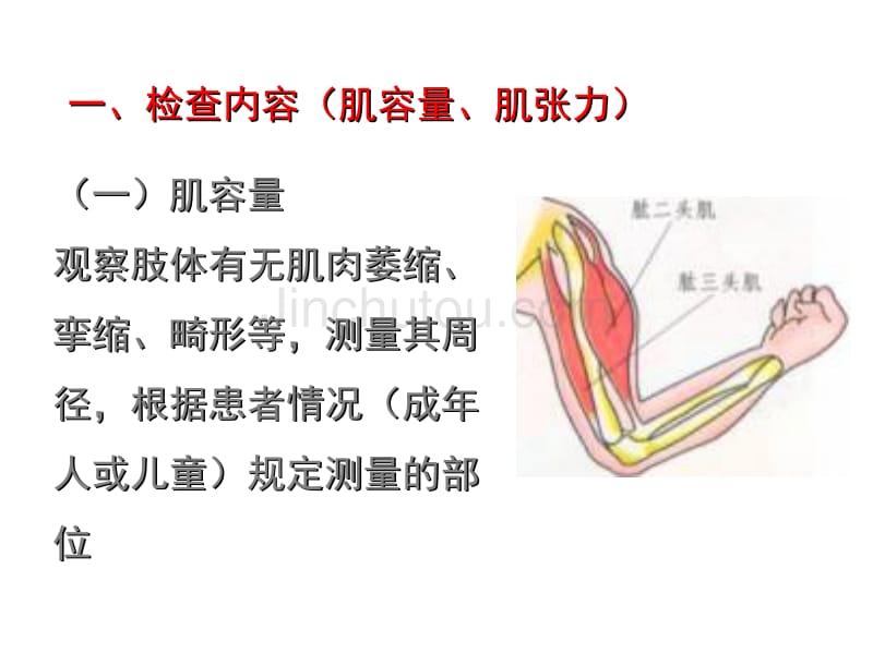 中医骨伤科学基础-----15_第2页