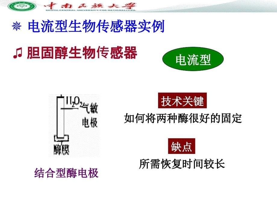 电化学传感器和生物传感器-3(12)_第5页