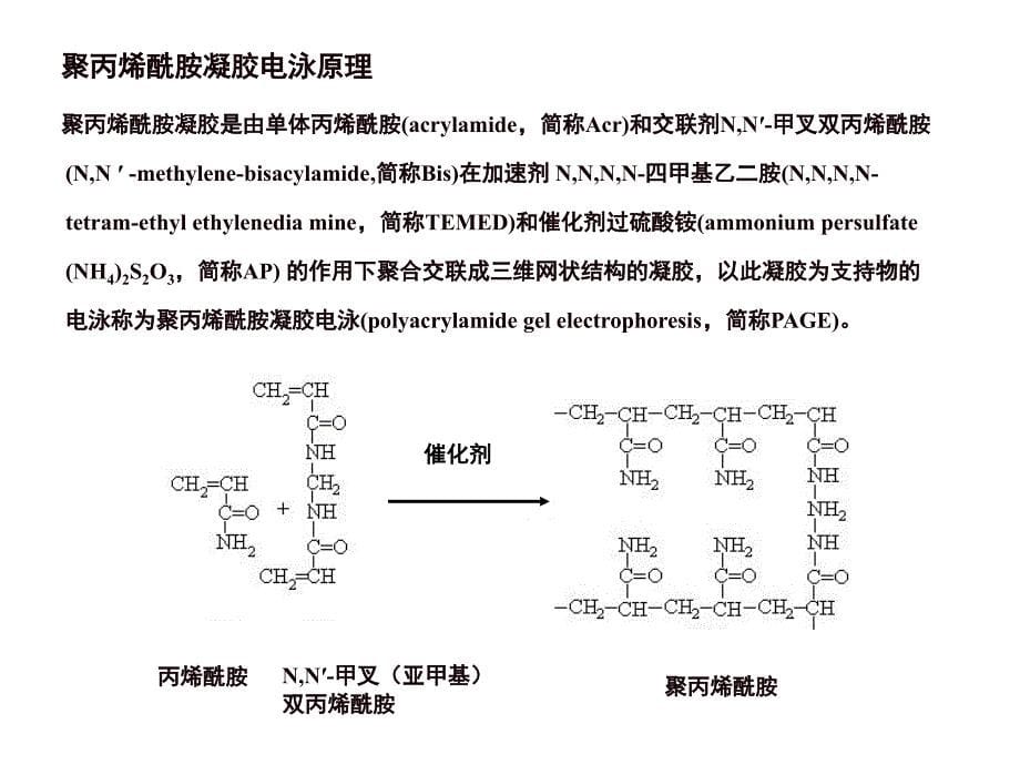 酶谱法检测血清中基质金属蛋白酶mmp-2和mmp-9活性_第5页