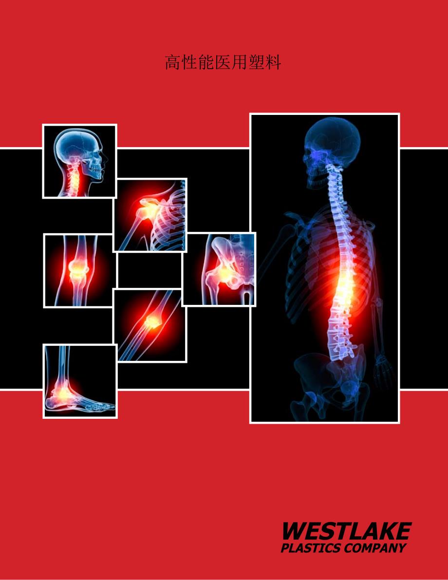 高性能医用塑料-westlakeplastics-theplastics_第1页