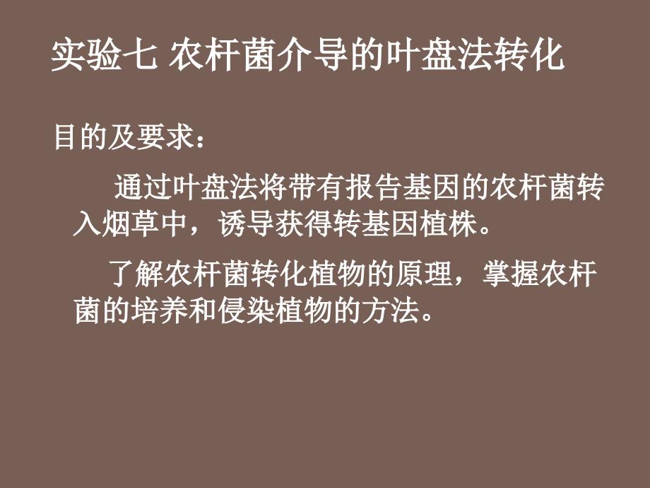 分子与基因工程实验七(2011)_第1页