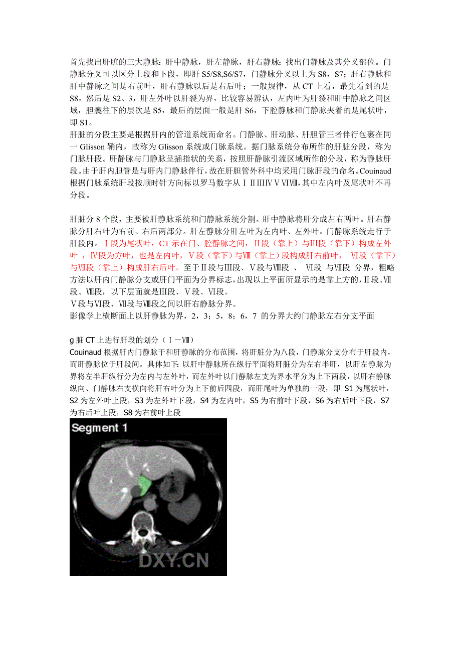 肝脏的ct分段_第1页