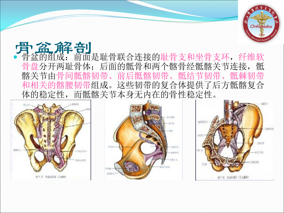 骨盆骨折的分型及治疗_第3页