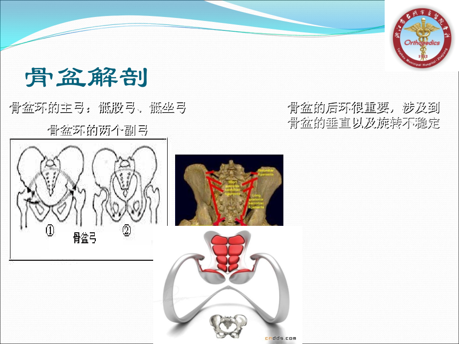 骨盆骨折的分型及治疗_第4页