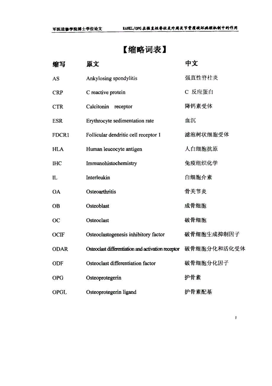 RANKLOPG在强直性脊柱炎外周关节骨质破坏病理机制中的作用_第2页