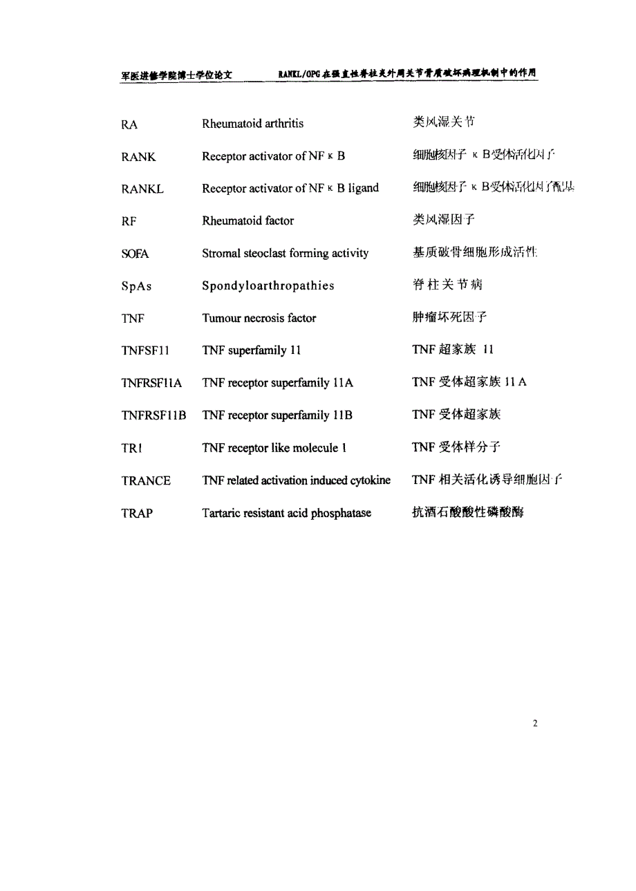 RANKLOPG在强直性脊柱炎外周关节骨质破坏病理机制中的作用_第3页