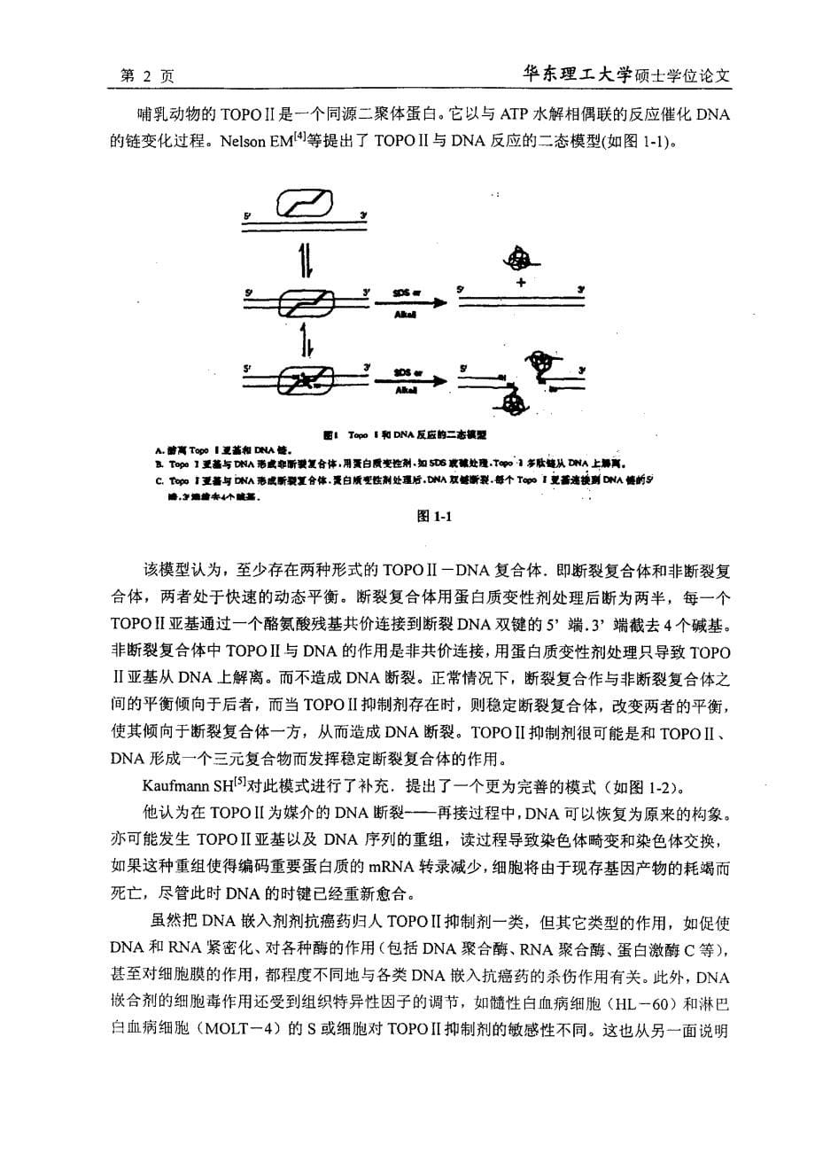 具有高效红色荧光的苝酰亚胺的合成_第5页