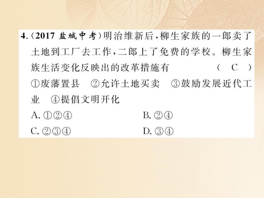 2018年中考历史总复习 第二编 热点专题速查篇 专题6 激浊扬新 除旧部新—重要改革与制度创新课件_第5页