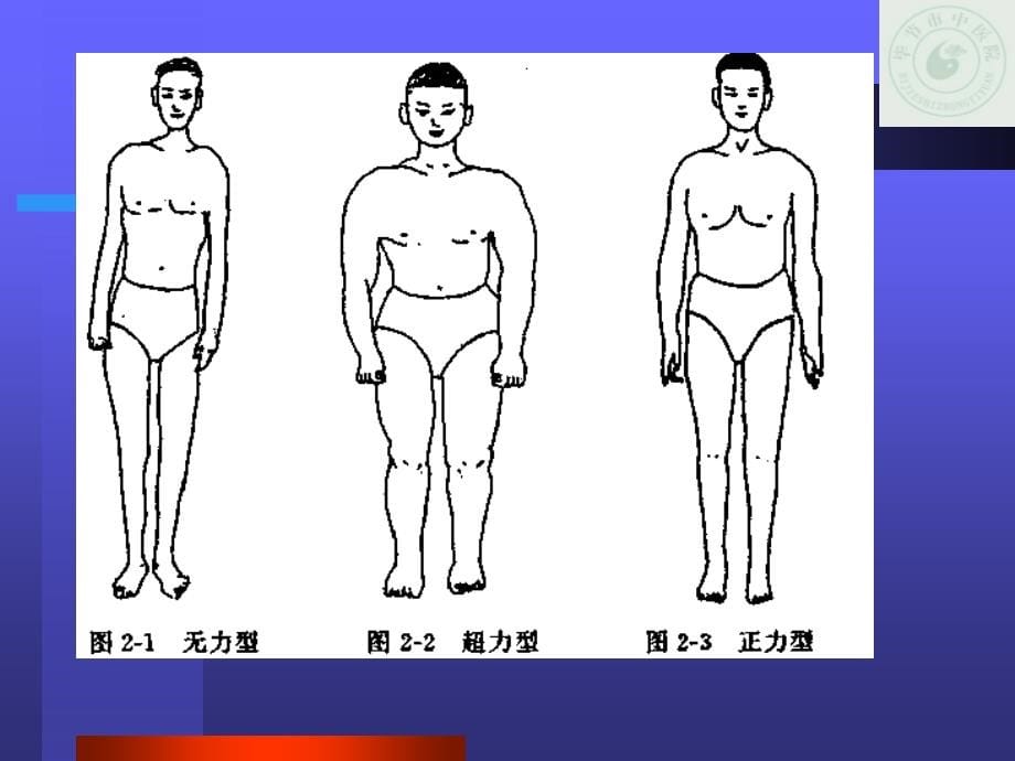 骨科物理检查_第5页