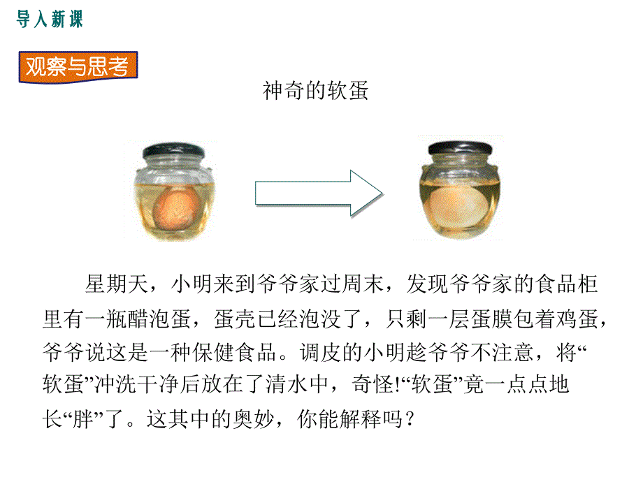 教科版九年级物理1.1《分子动理论》课件_第2页