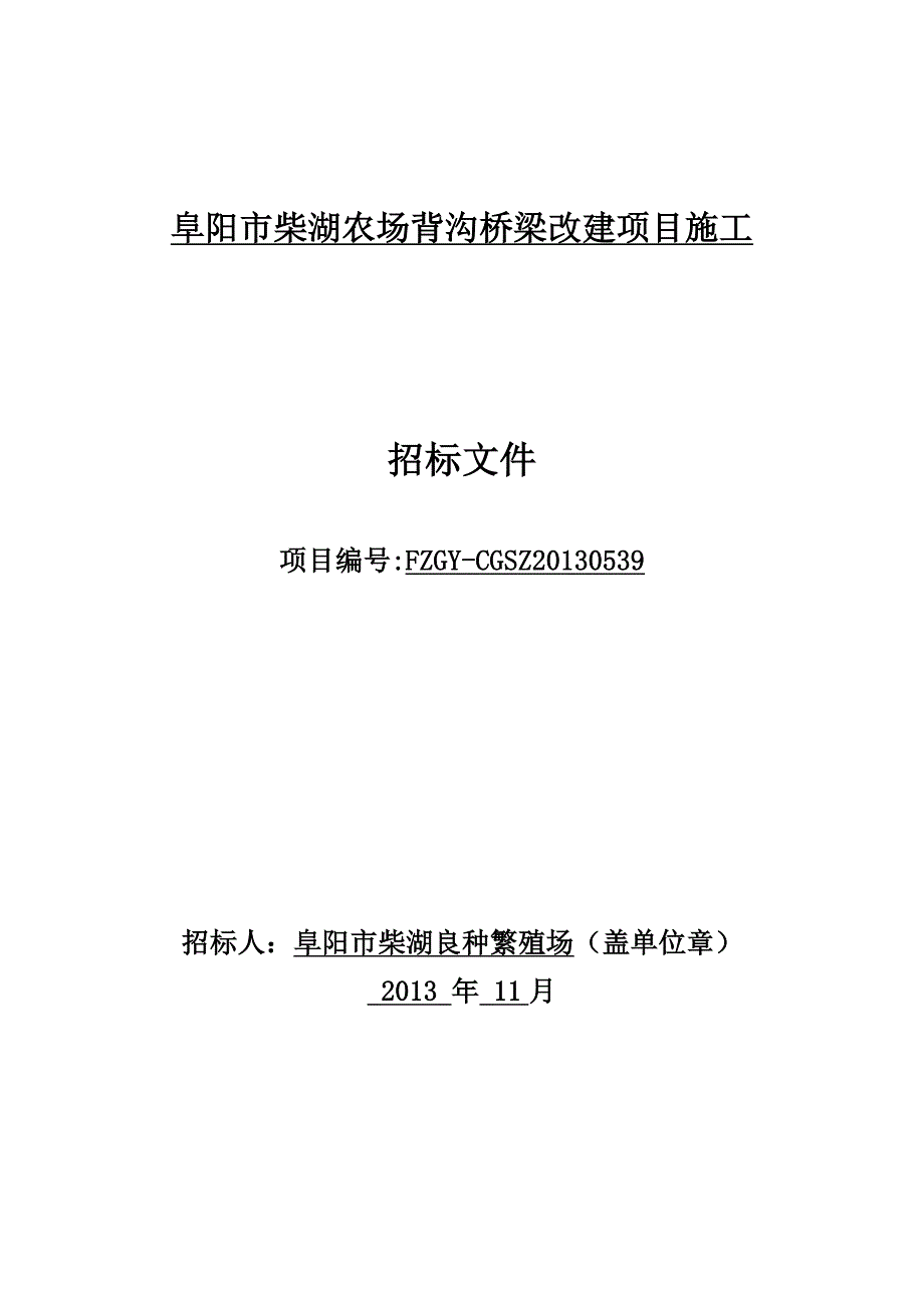 阜阳市柴湖农场背沟桥梁改建项目施工_第1页