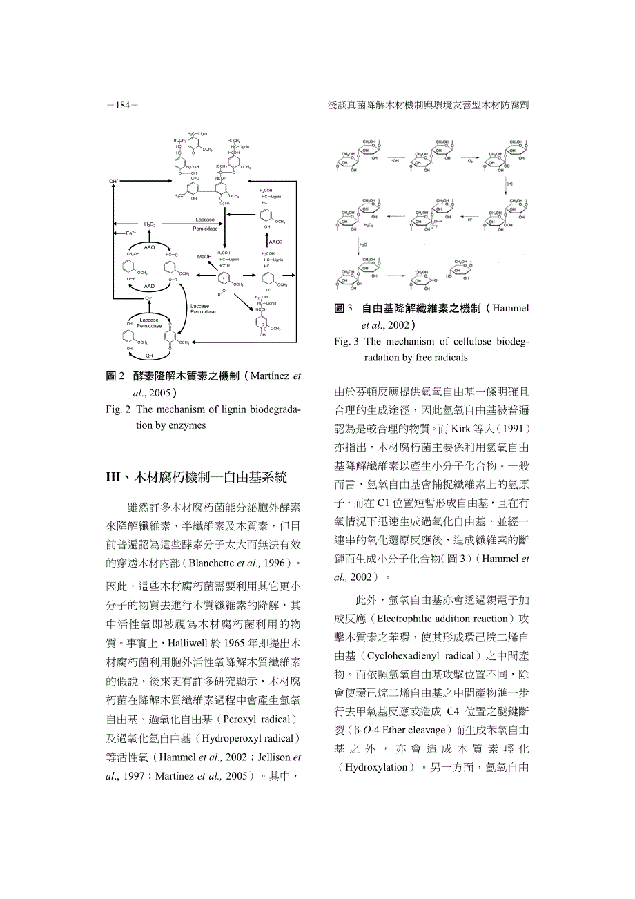 浅谈真菌降解木材机制与环境友善型木材防腐剂_第4页