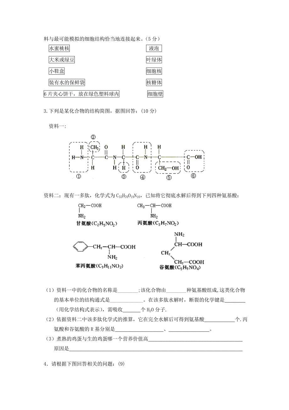 高一生物习题 (20)_第5页