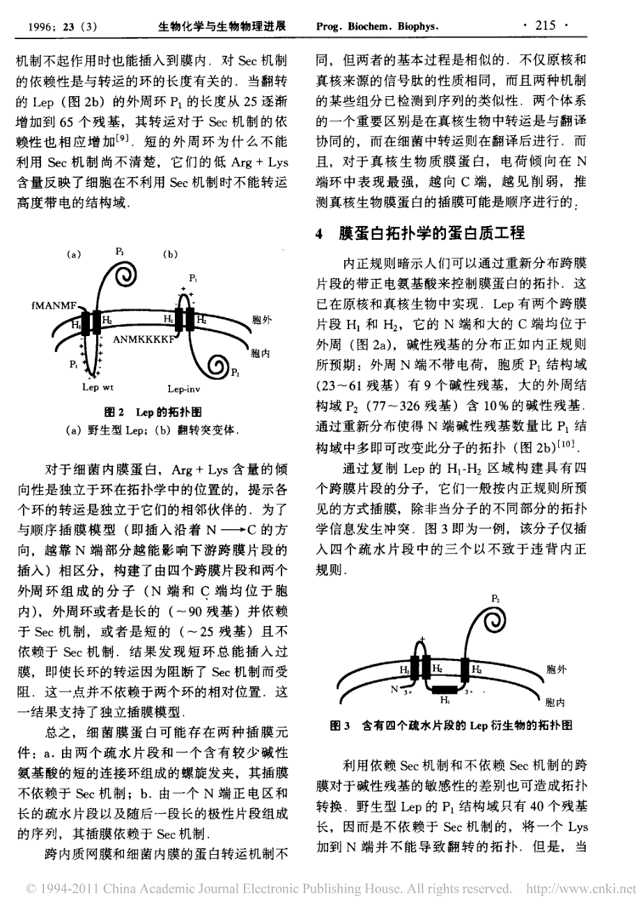 膜蛋白的拓扑学_第3页