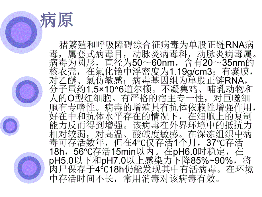 猪蓝耳病简介和防治_第3页