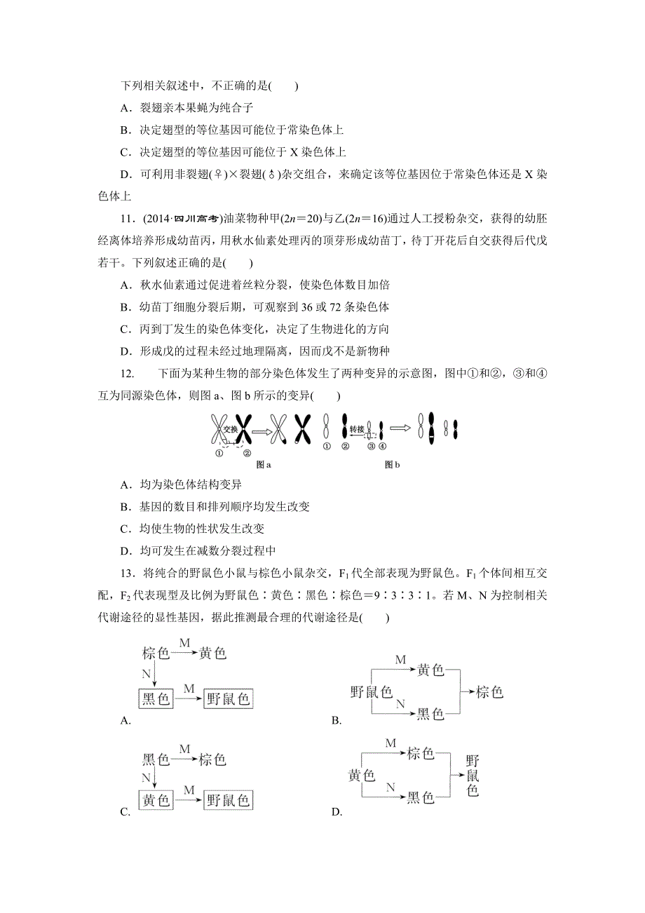 浙科版模块质量检测(二) 遗传和进化_第3页