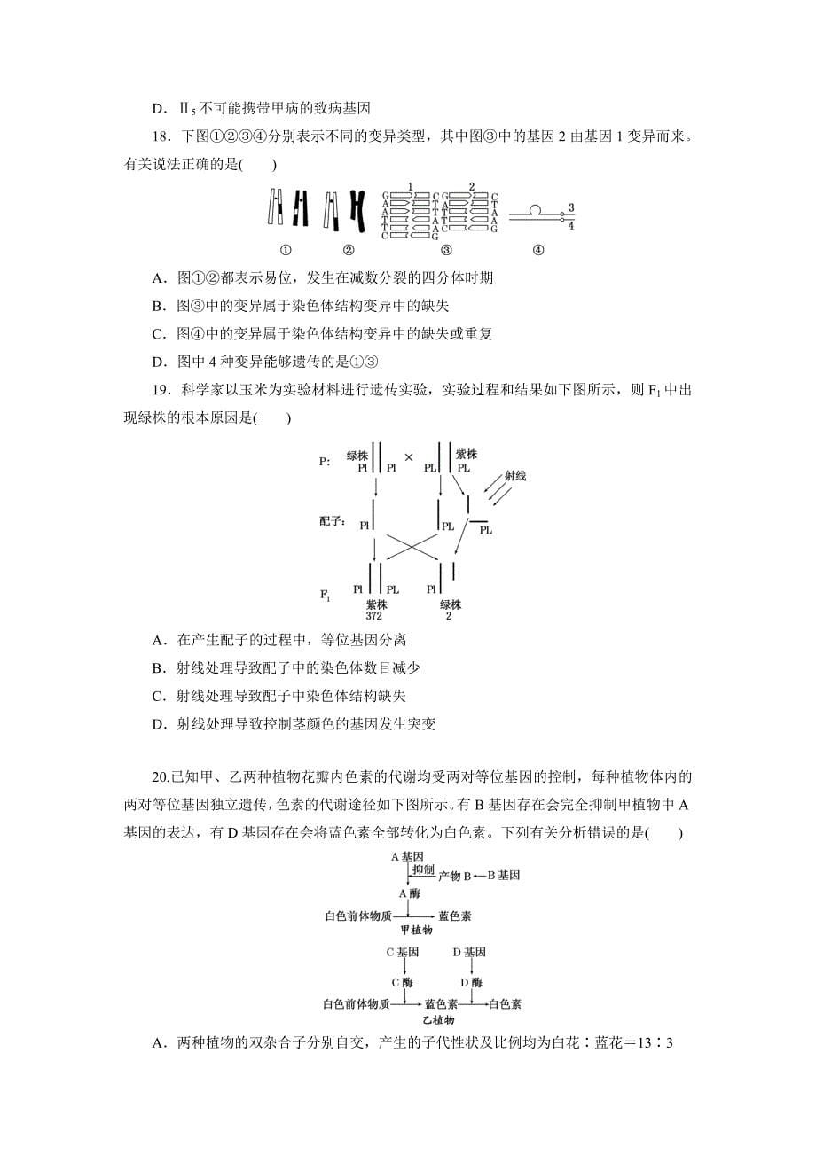 浙科版模块质量检测(二) 遗传和进化_第5页