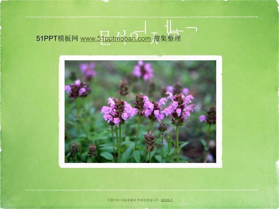 韩国绿色自然风景相册ppt_第1页