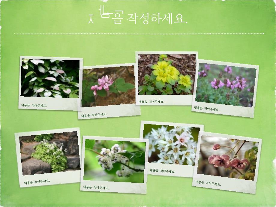 韩国绿色自然风景相册ppt_第2页