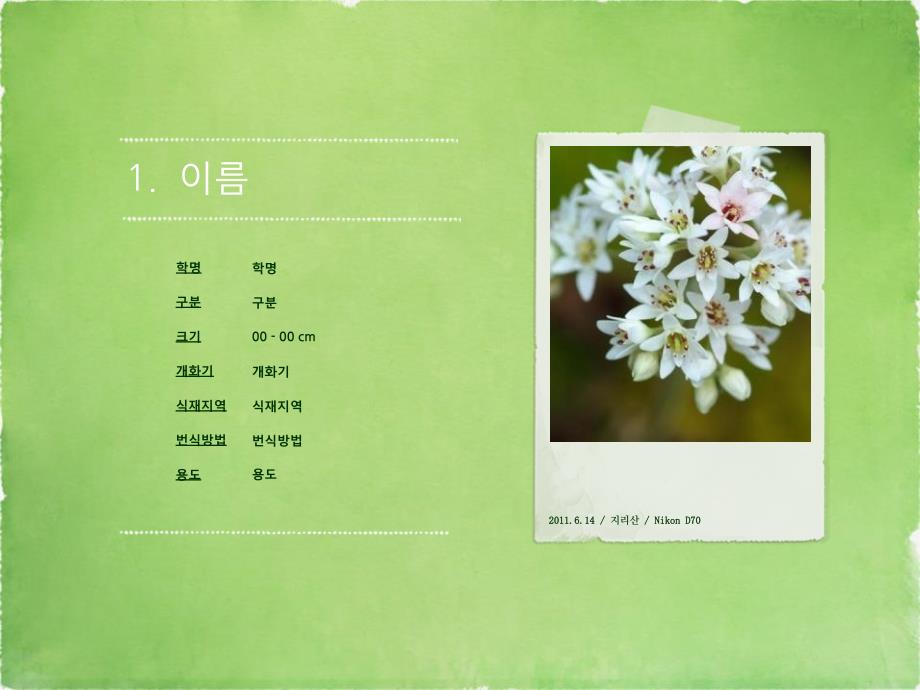 韩国绿色自然风景相册ppt_第3页
