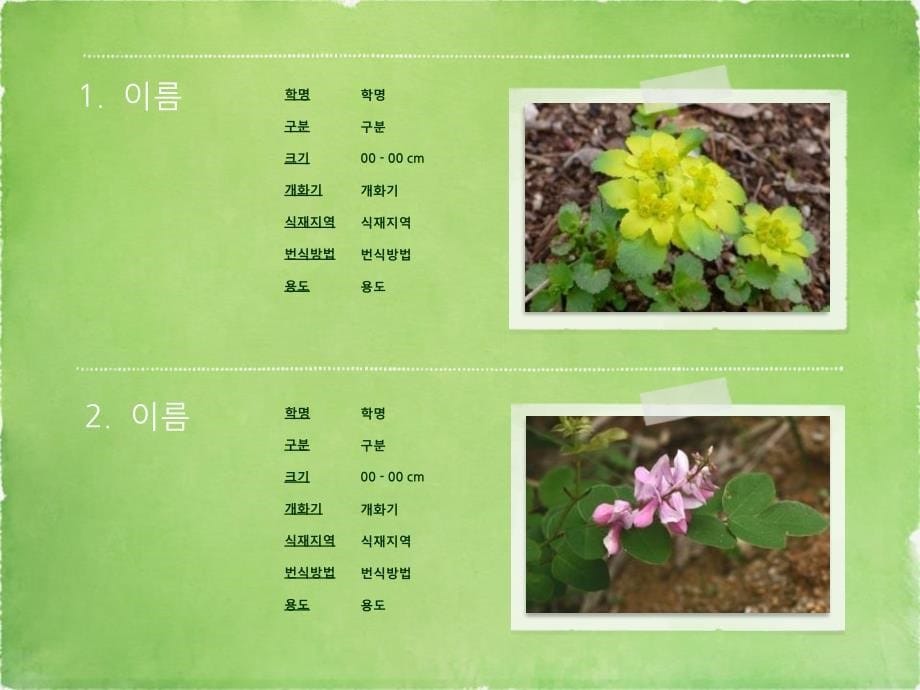 韩国绿色自然风景相册ppt_第5页