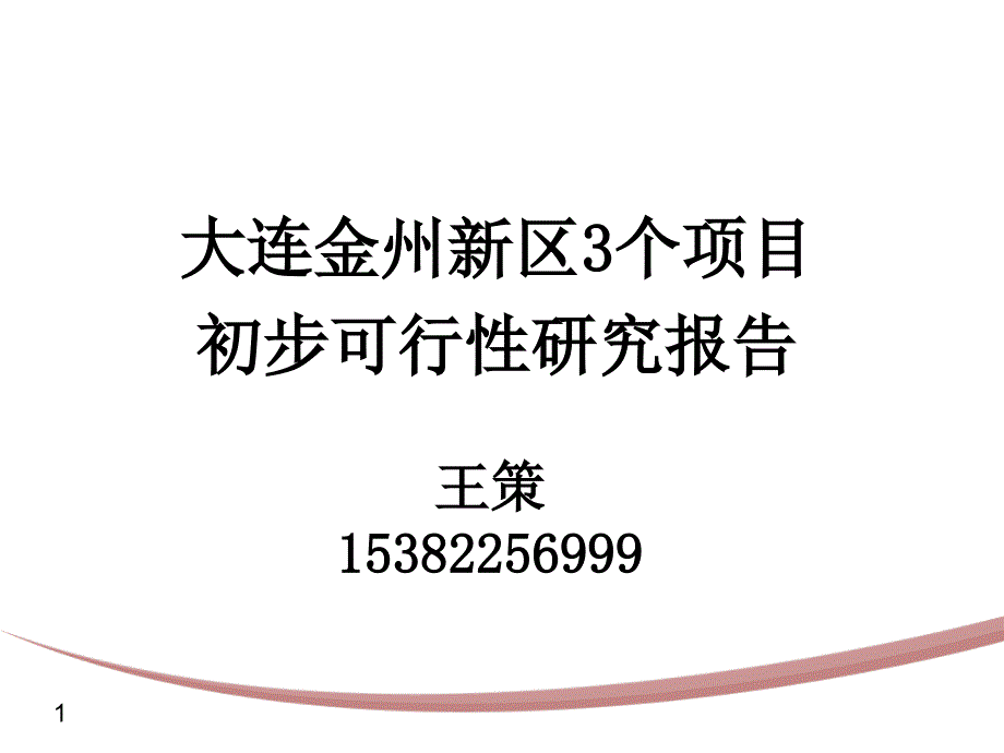 金州新区核心项目可行性研究报告_第1页