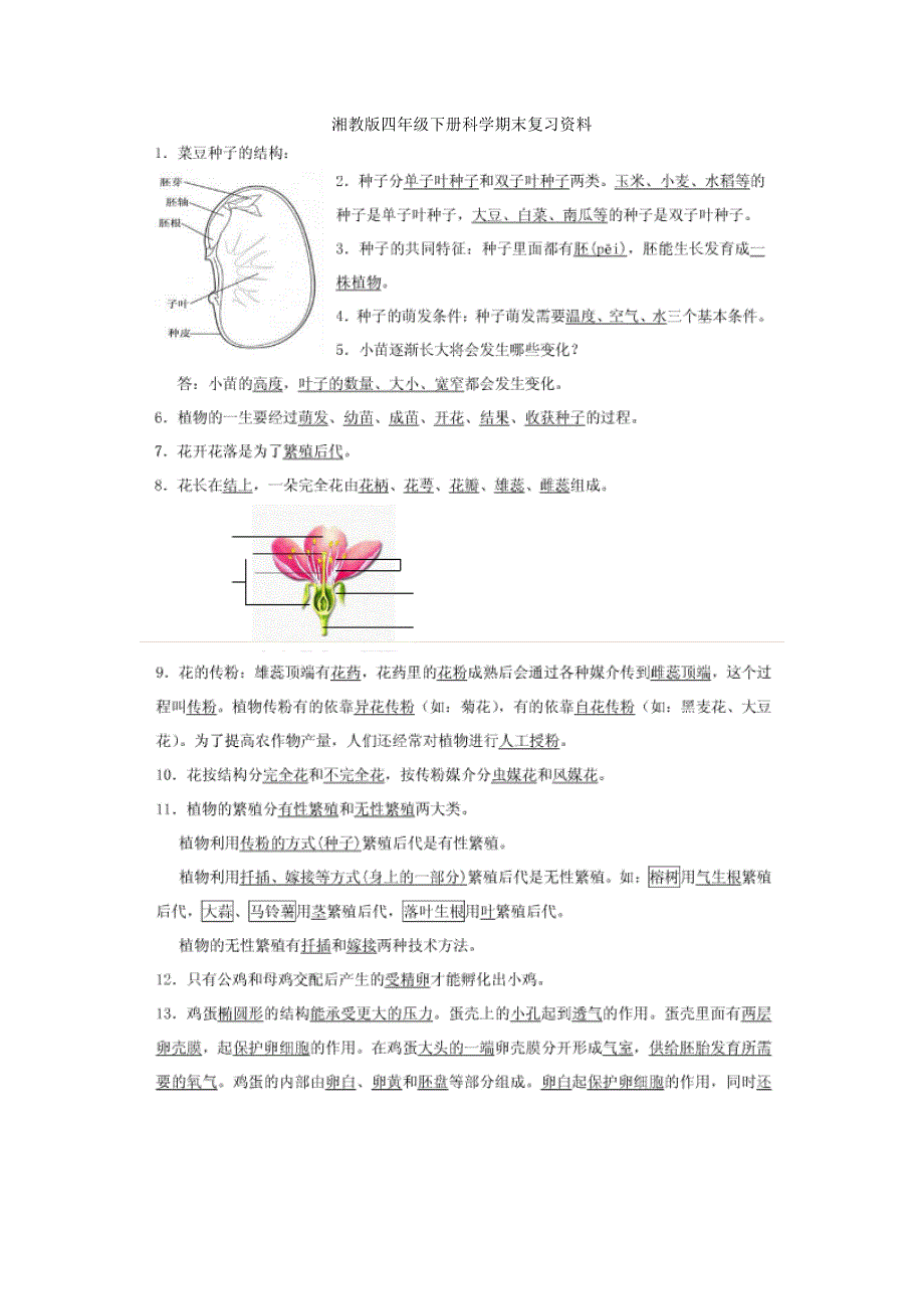 湘教版四年级下册科学期末复习资料_第1页