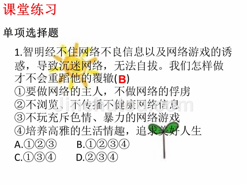 部编人教版八年级《道德与法治》上册2.2合理利用网络(共28张)_第5页