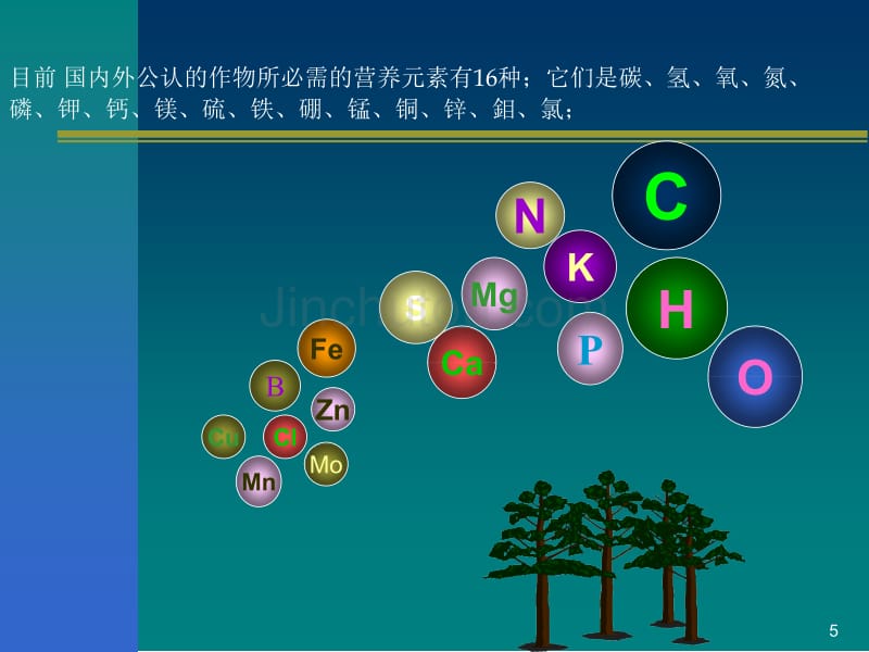 茂盛生物农化服务_第5页